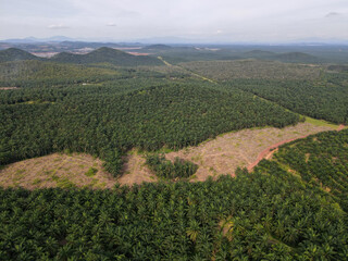 Aerial view land clearing at palm oil farm in Malaysia