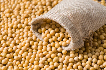 Soybean seeds grain texture background.