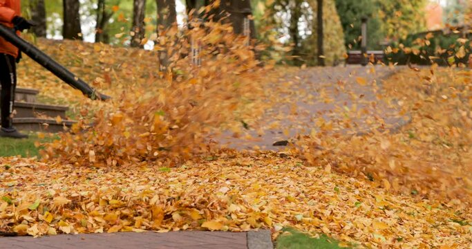 Gardeners remove fallen leaves for composting in the park.