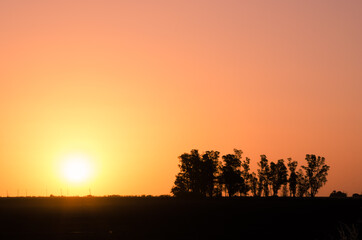 Fototapeta na wymiar Beautiful sunset on field.