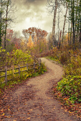 Fototapeta premium Fall end at Jefferson Forest