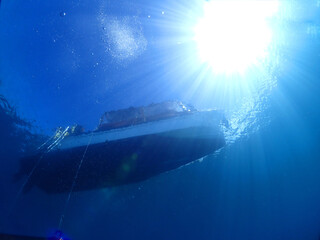 石垣島の海底から船底を見上げる