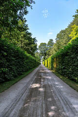 road in the countryside