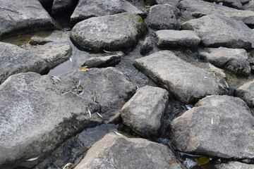 Rocks and flowing water