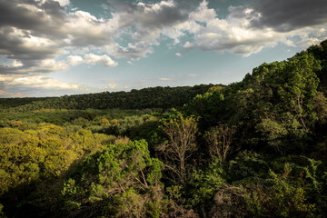 Obraz premium Austin, TX. Barton Creek Greenbelt