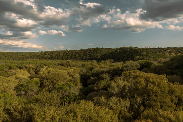 Austin, TX. Barton Creek Greenbelt