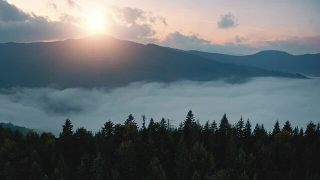 Aerial mountain landscape. Morning fog in the valley, pine tree forest, mountain range peak, bright sun in colorful cloudy sky. Nature background. Beautiful wild landscape. Cinematic shot, zoom out