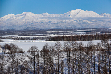 青空と雪山　大雪山
