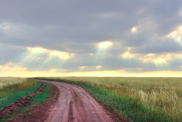 Fototapeta na wymiar Field road in the steppes of Khakassia.