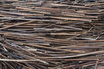 Background with frosted, old, broken, brown pieces of reed trunks