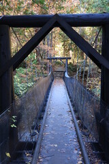 紅葉の阿寺渓谷-吊り橋