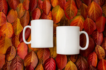 Two white coffee mug mockup with red fall leaves background