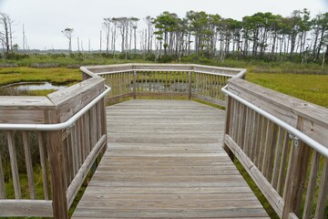Fototapeta na wymiar The wooden boardwalk near Assateague Island, Maryland, U.S.A