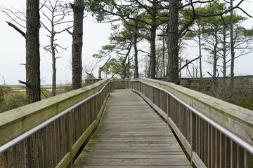 The wooden boardwalk near Assateague Island, Maryland, U.S