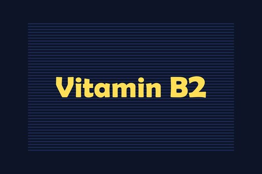 Vitamin B2 typography text vector design.  Healthcare conceptual vector design 