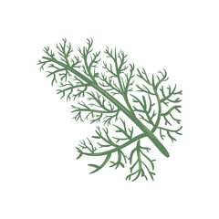 green branch illustration