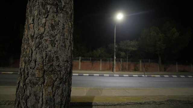 Cars driving by at night street time lapse with lamppost in background and tree trunk in foreground