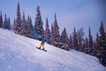 Snowboarder riding on slope with snowy forest, sheregesh ski resort sunset