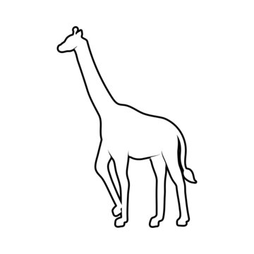giraffee icon design template vector isolated illustration