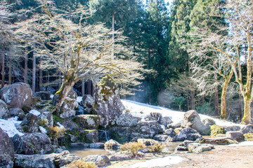 Fototapeta premium 一乗谷