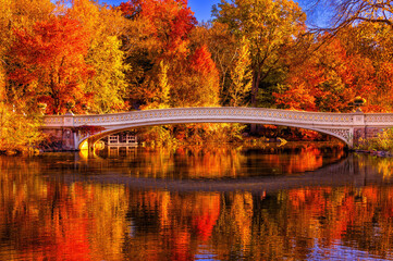 New York City Autumn