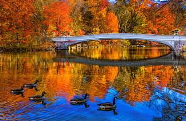 New York City Autumn