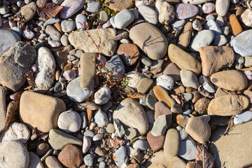 Autumn, the shallow stone-sandy bottom of a mountain river in the rays of the morning sun, close-up.