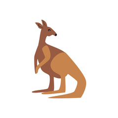 pretty kangoroo design
