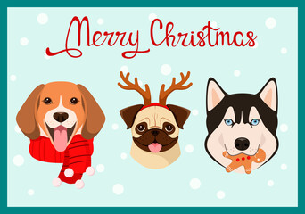 Christmas card with funny dogs. Cartoon design.
