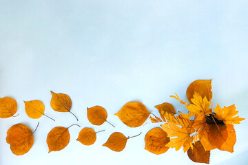 Flatlay text frame autumn background with a bouquet of yellow dry acacia and maple leaves. Top view