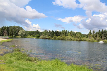 lake and forest, William Hawrelak Park, Edmonton, Alberta