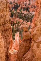 Scenic rocks from the Navajo Loop Trail leading through Bryce Canyon