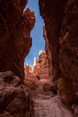 Iconic Wall Street gorge in the Bryce Canyon valley in Utah