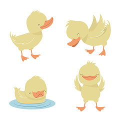 Cute Yellow Ducks In Different Poses Vector Illustration Set Cartoon Character.
