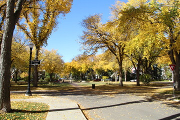 Autumn In The Park