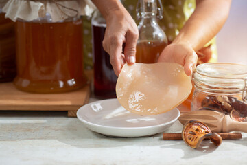 Woman holding the Scoby or fungus over white plate, Scoby tea mushroom to start the fermentation process to make Kombucha, dietetic organic superfood healthy fermented tea