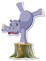 Hippopotamus dancing cartoon character on white background