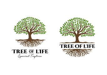 Tree of life logo illustration design template inspiration