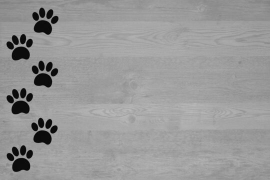 Animal track paw prints on a wooden texture background with copy space for text and design.