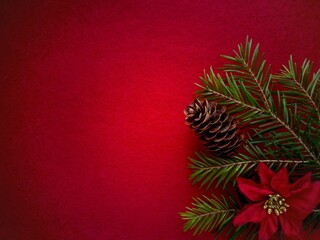 Christmas flat lay background with fir tree branch, Christmas Poinsettia flower and fir cones. Red New Year background. Christmas card. Top view. Not a smooth background