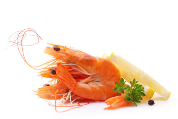 Fresh shrimps on white background