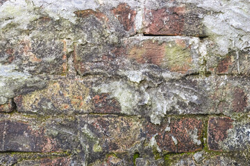 Old mossy brick wall close up shot