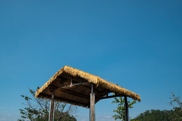 Thatched house under clear sky