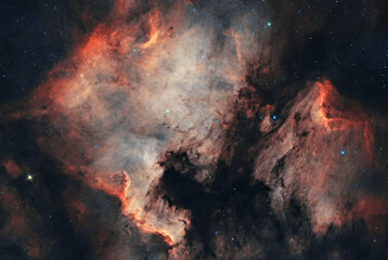 The North America Nebula, NGC 7000, Caldwell 20, Emission nebula. Constellation Cygnus