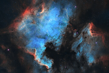 Fototapeta na wymiar The North America Nebula, NGC 7000, Caldwell 20, Emission nebula. Constellation Cygnus