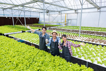 Asian local farmers growing their own green oak salad lettuce in the greenhouse using hydroponics...