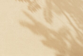 3D render, unobtrusive background with shadow on the wall. Premium podium, stand on pastel light background. Mock up for exhibitions, presentation of products, therapy, relaxation and health.