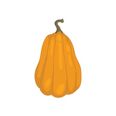 Pumpkin outline icon with simple line art. Vector illustration of a long pumpkin for Halloween or harvest, orange badges for labels, packaging