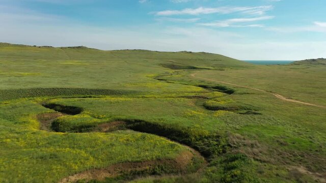 The green spring steppe aerial view. Clear blooming wild pasture land with flowers, grass and hills