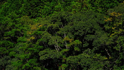 Fototapeta premium 山